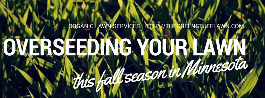 overseeding lawn mn fall