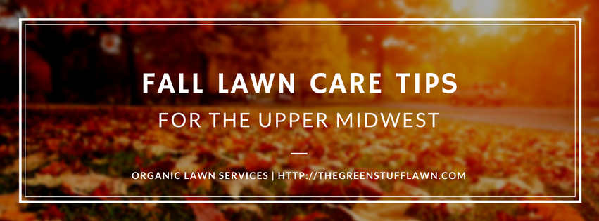 copy-of-copy-of-copy-of-importance-of-raking-leaves
