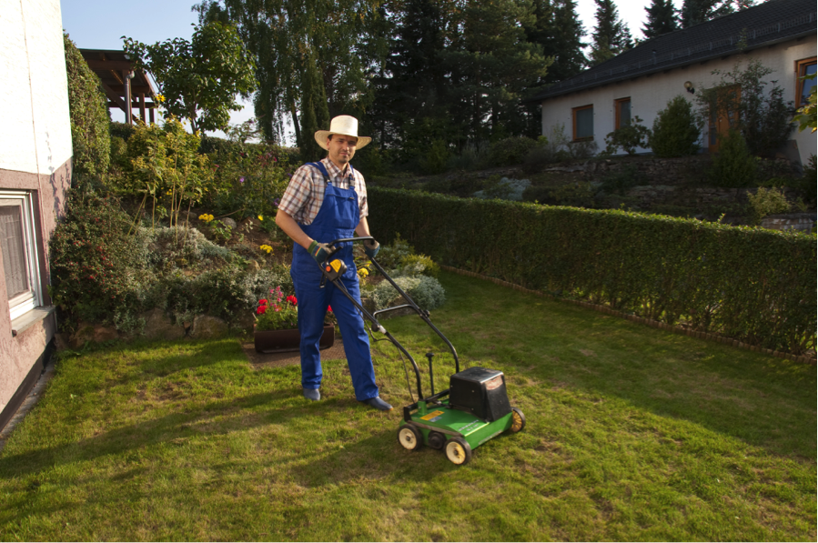 green-give-your-lawn