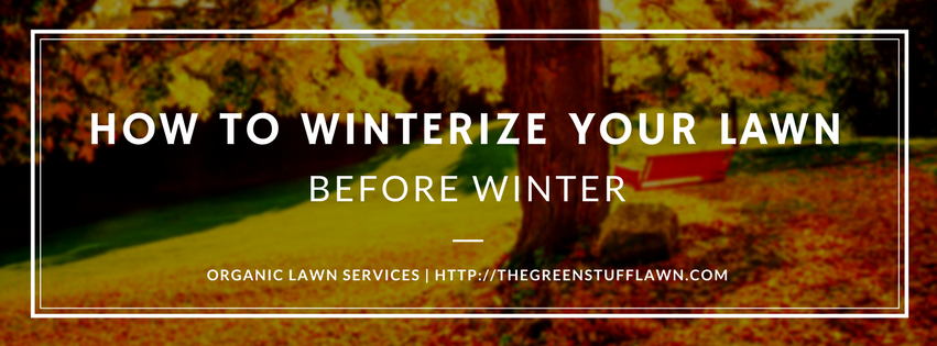 How to Winterize Your Lawn Before Winter