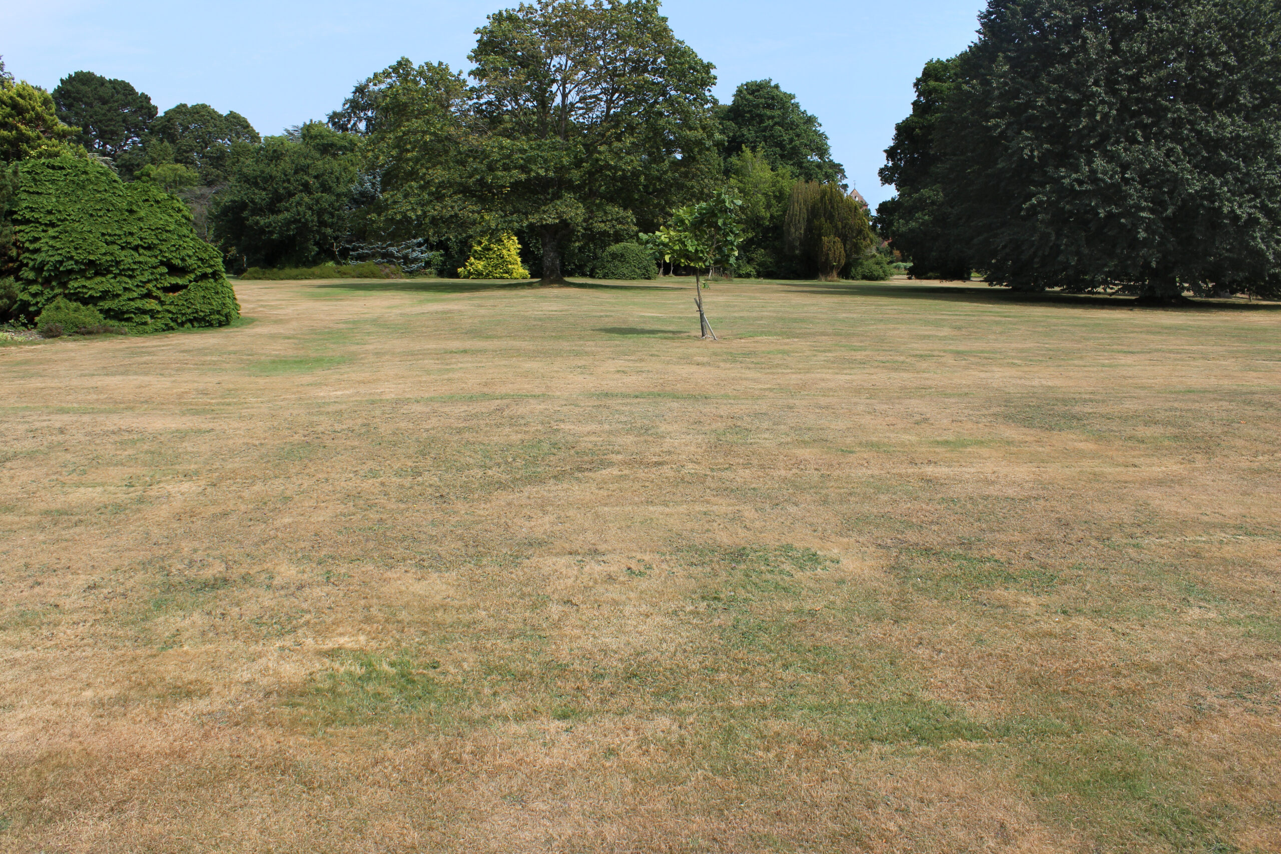 Lawn Care Tips to Keep Your Grass Green During a Minnesota Drought